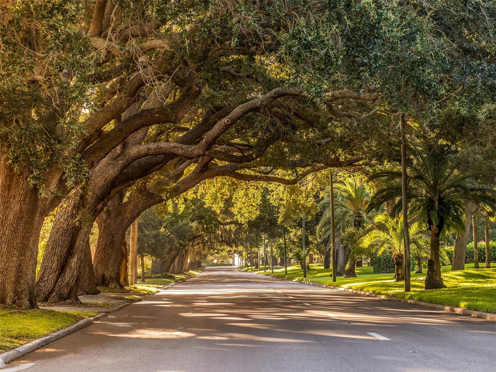 431 AIRPORT AVE E #208, VENICE, FL, 34285