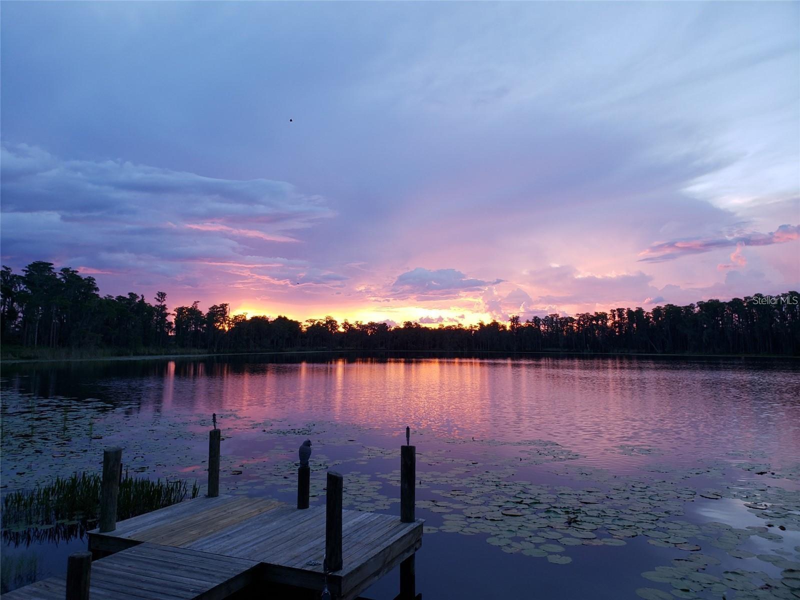 16837 ARROWHEAD BLVD, WINTER GARDEN, FL, 34787