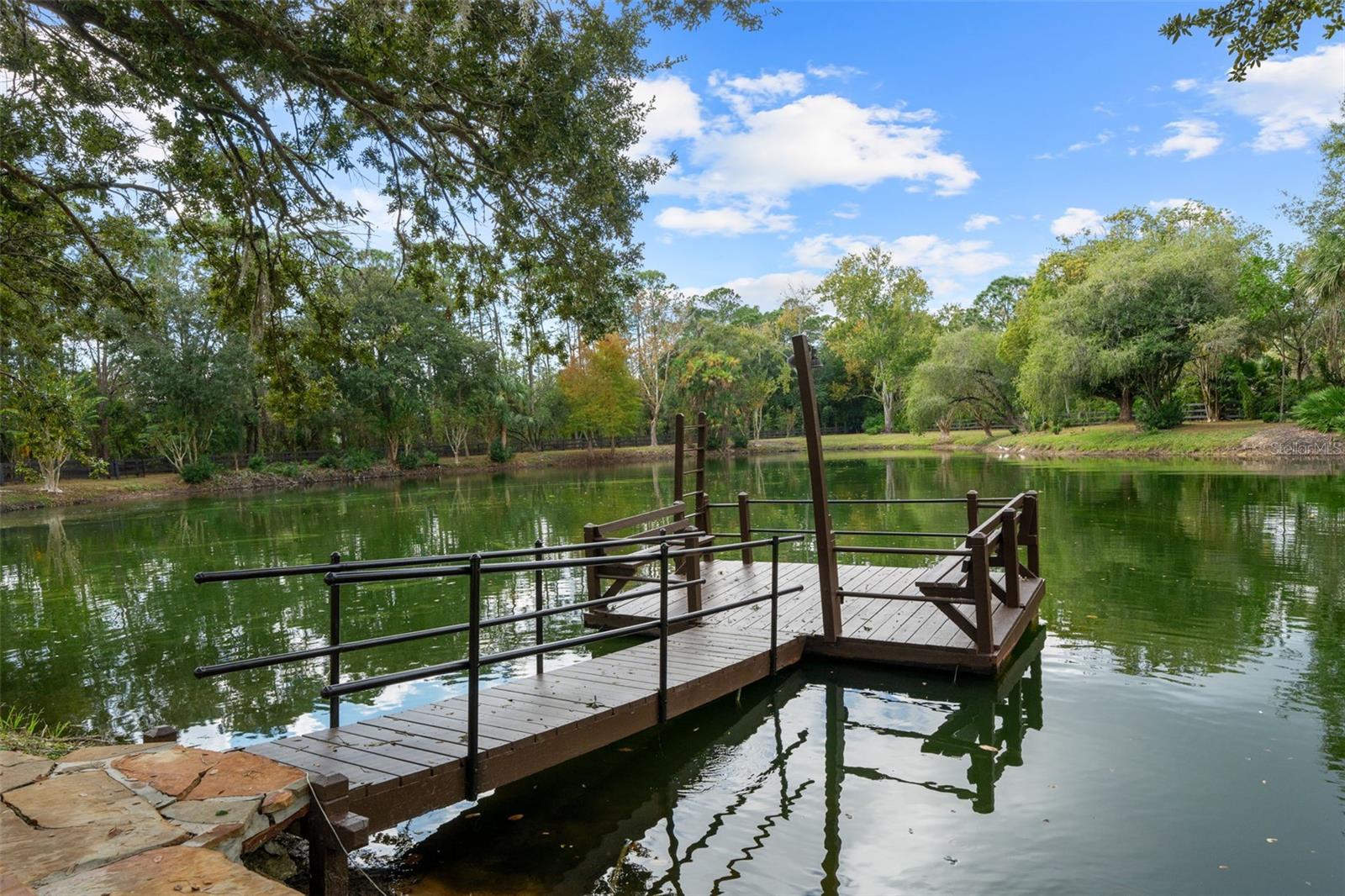 11623 INNFIELDS DR, ODESSA, FL, 33556