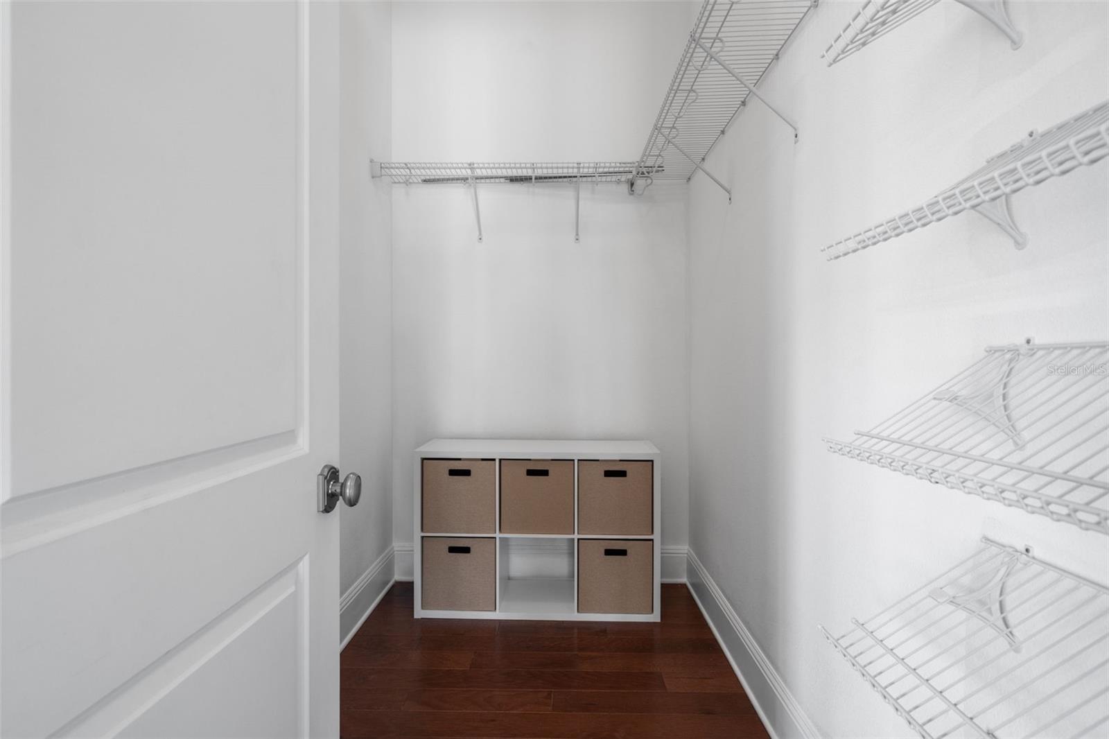 11623 INNFIELDS DR, ODESSA, FL, 33556