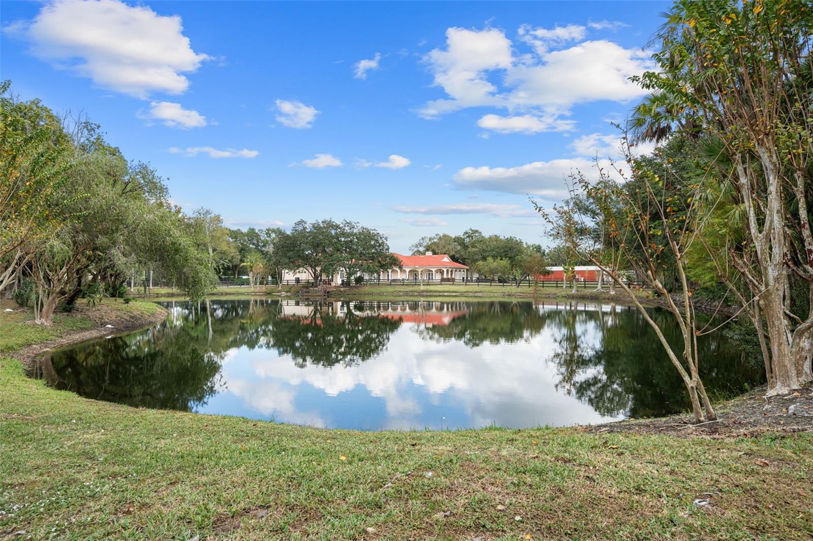 11623 INNFIELDS DR, ODESSA, FL, 33556