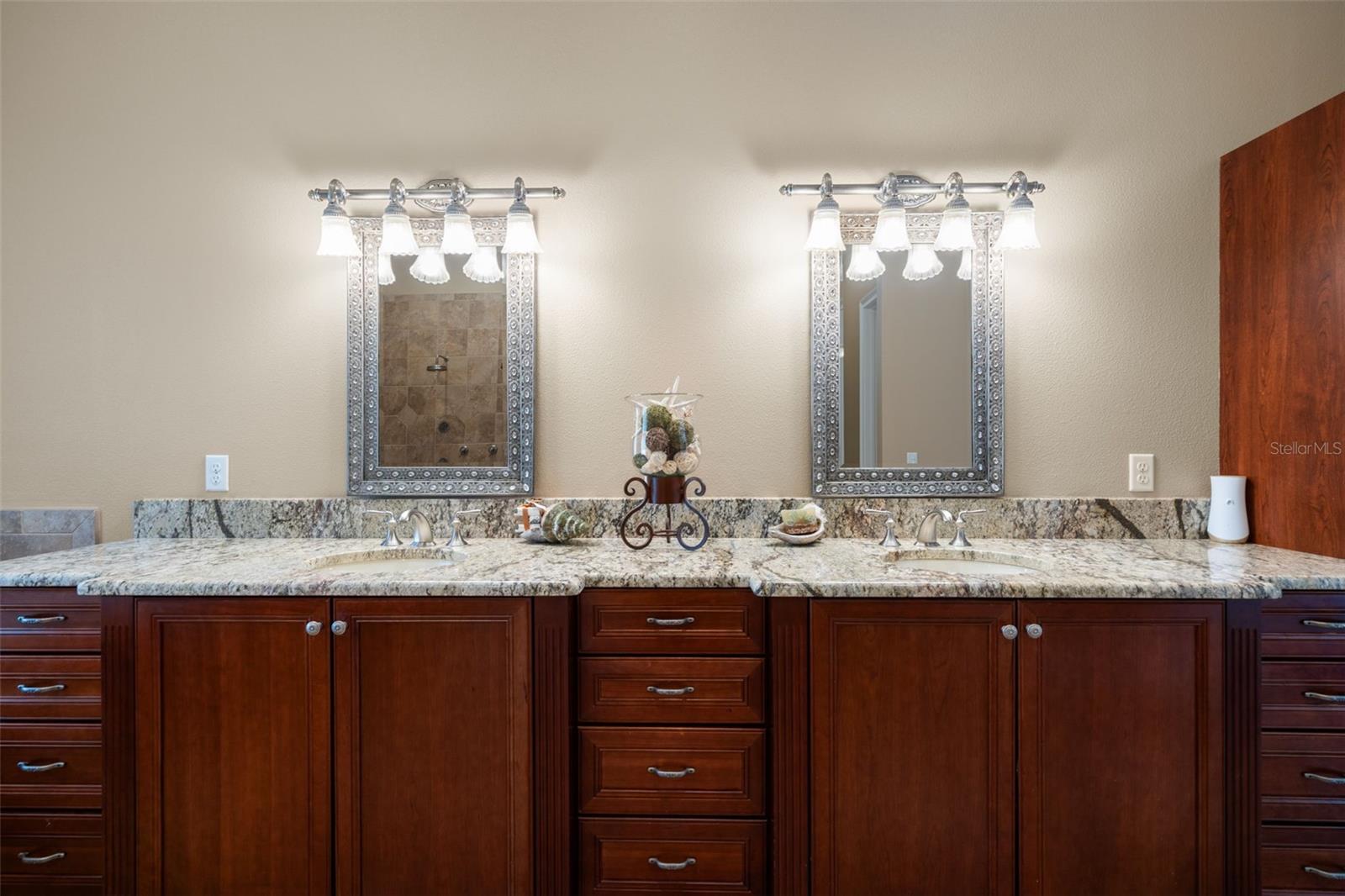 11623 INNFIELDS DR, ODESSA, FL, 33556