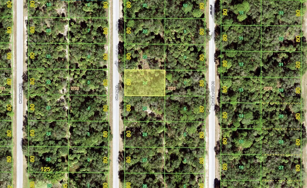 3136 OLNEY ST, PORT CHARLOTTE, FL, 33948