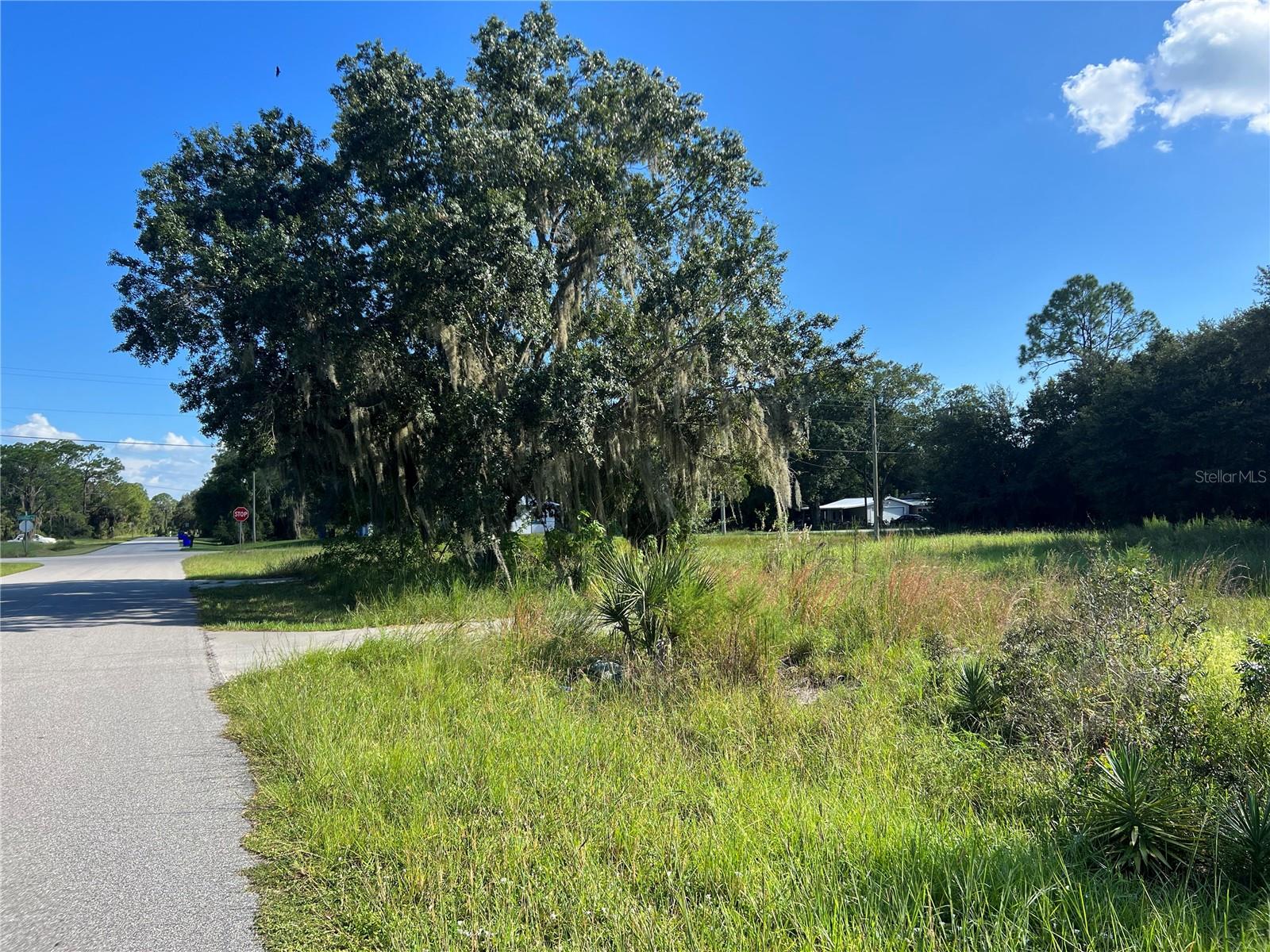 502 BOTTLEBRUSH AVE, LAKE PLACID, FL, 33852