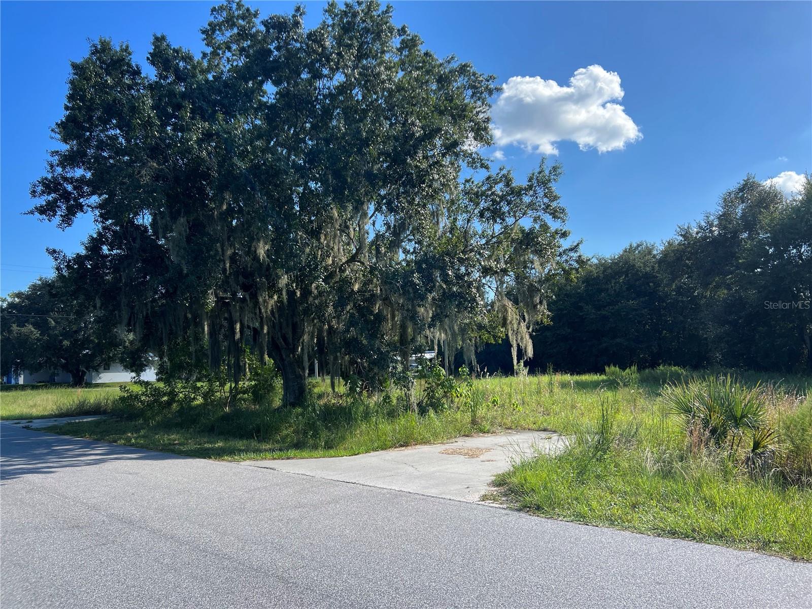 502 BOTTLEBRUSH AVE, LAKE PLACID, FL, 33852