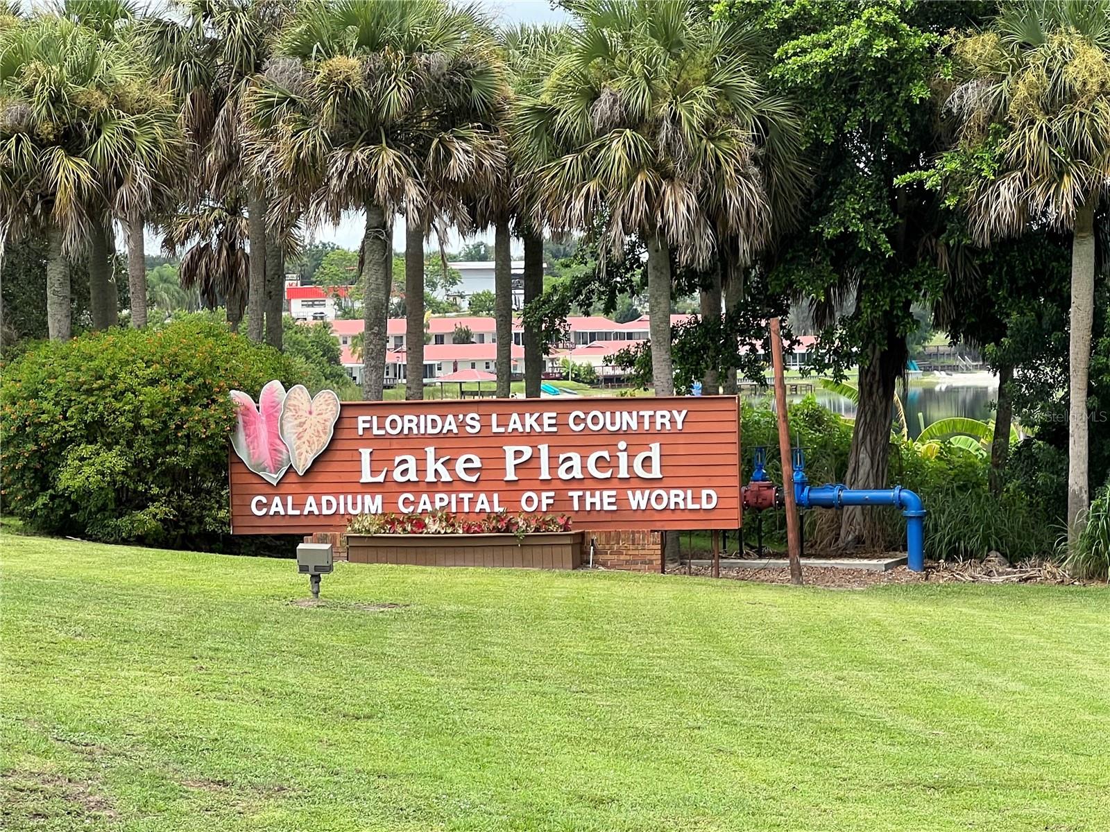 502 BOTTLEBRUSH AVE, LAKE PLACID, FL, 33852