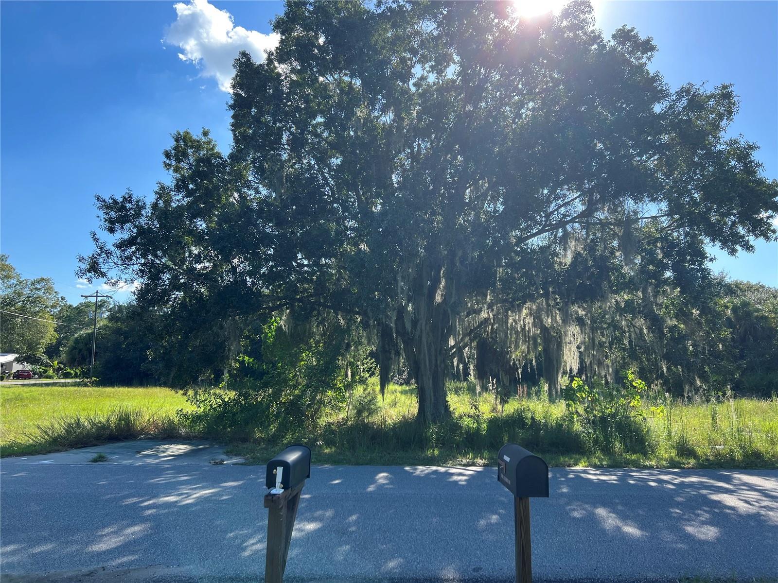 502 BOTTLEBRUSH AVE, LAKE PLACID, FL, 33852