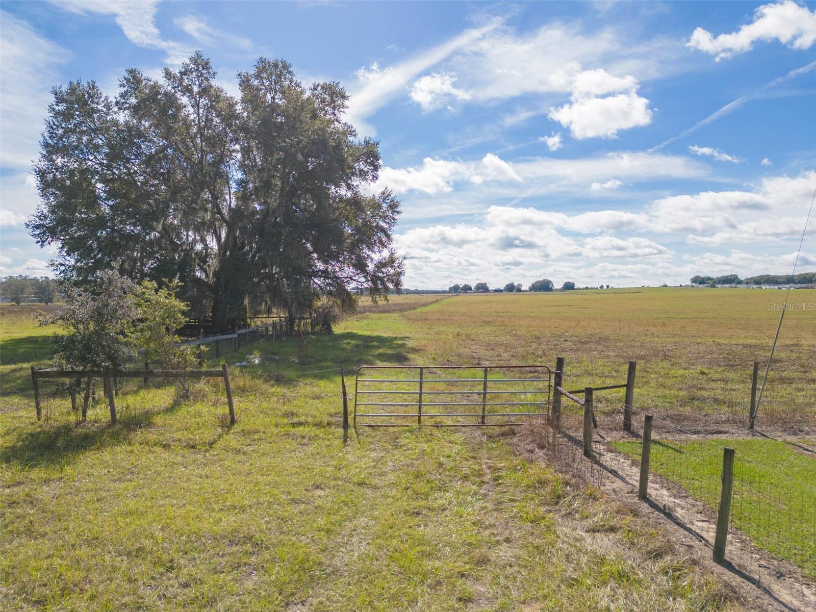 BUR MAC RD, DADE CITY, FL, 33525