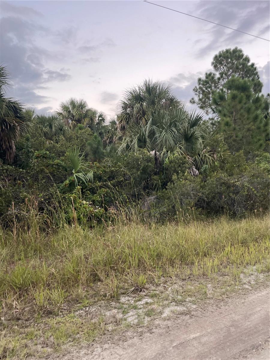 739 SPOONBILL ST SW, PALM BAY, FL, 32908