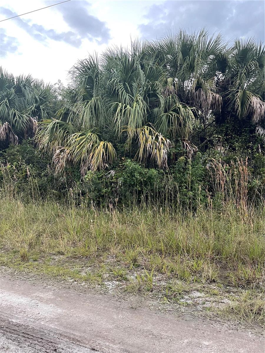 739 SPOONBILL ST SW, PALM BAY, FL, 32908