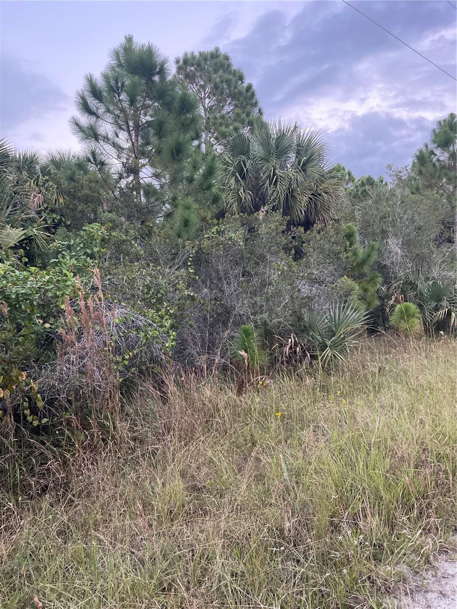 739 SPOONBILL ST SW, PALM BAY, FL, 32908
