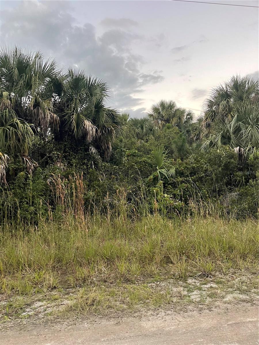 739 SPOONBILL ST SW, PALM BAY, FL, 32908