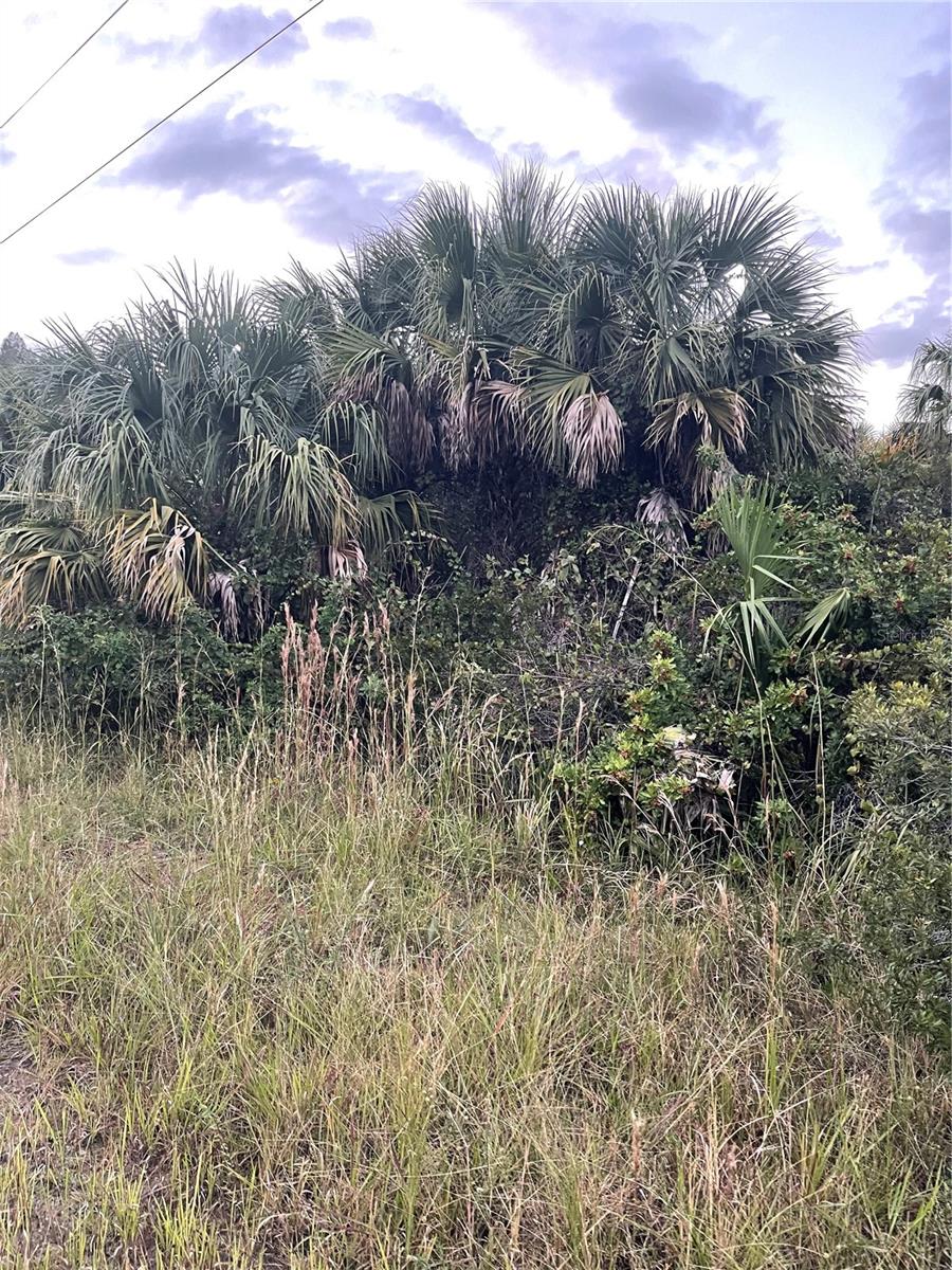739 SPOONBILL ST SW, PALM BAY, FL, 32908