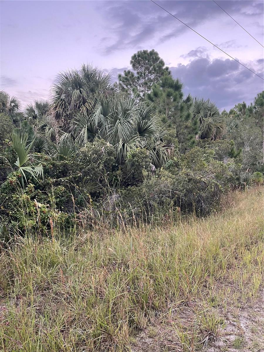 739 SPOONBILL ST SW, PALM BAY, FL, 32908