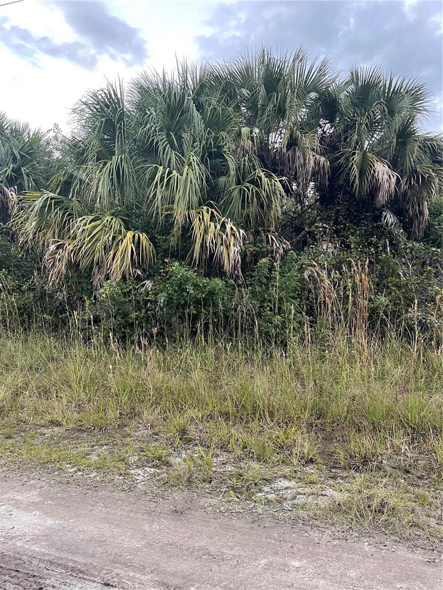 739 SPOONBILL ST SW, PALM BAY, FL, 32908