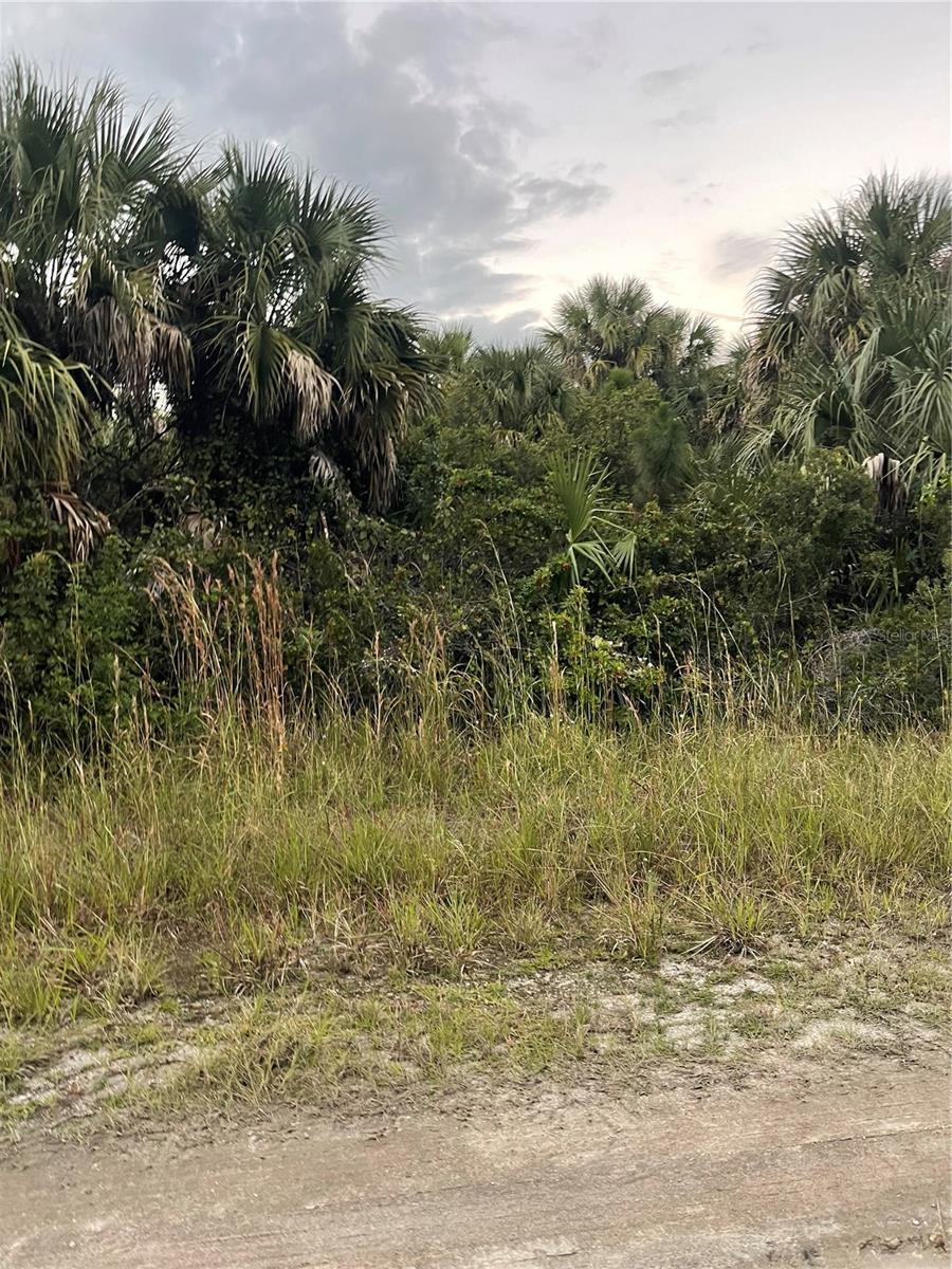 739 SPOONBILL ST SW, PALM BAY, FL, 32908