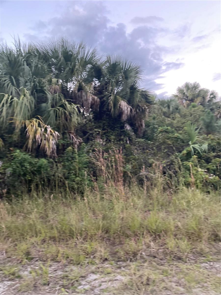 739 SPOONBILL ST SW, PALM BAY, FL, 32908