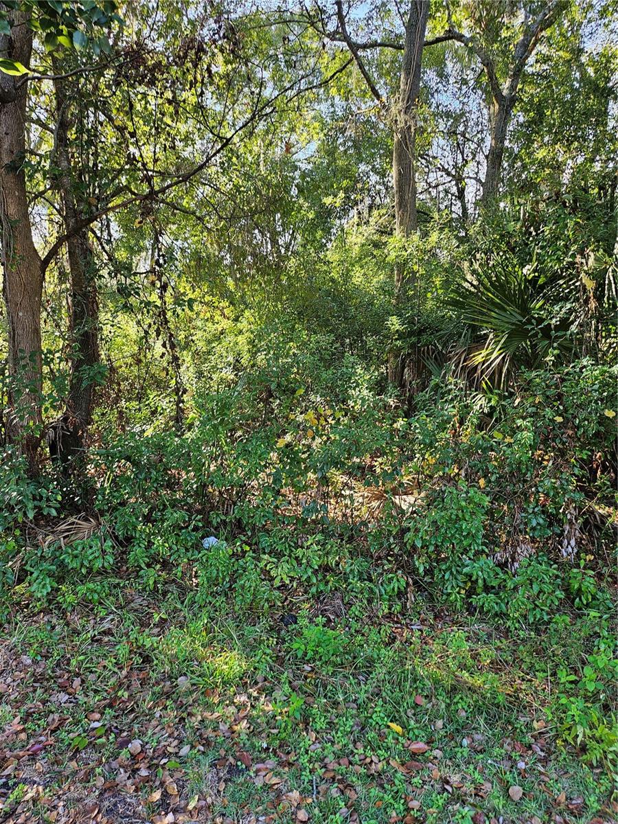 908 NE 17TH TER, GAINESVILLE, FL, 32641