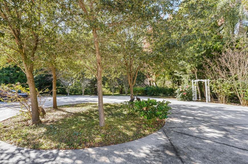 7210 N HABANA AVENUE, TAMPA, FL, 33614