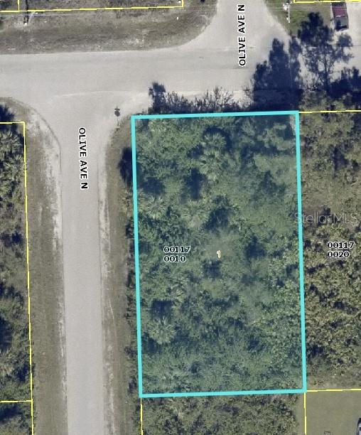 3117 51ST ST W, LEHIGH ACRES, FL, 33971