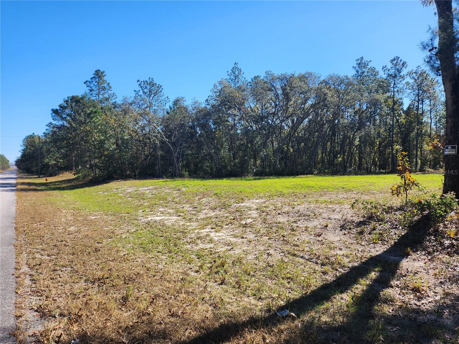 TBD SW 137 ST, OCALA, FL, 34473