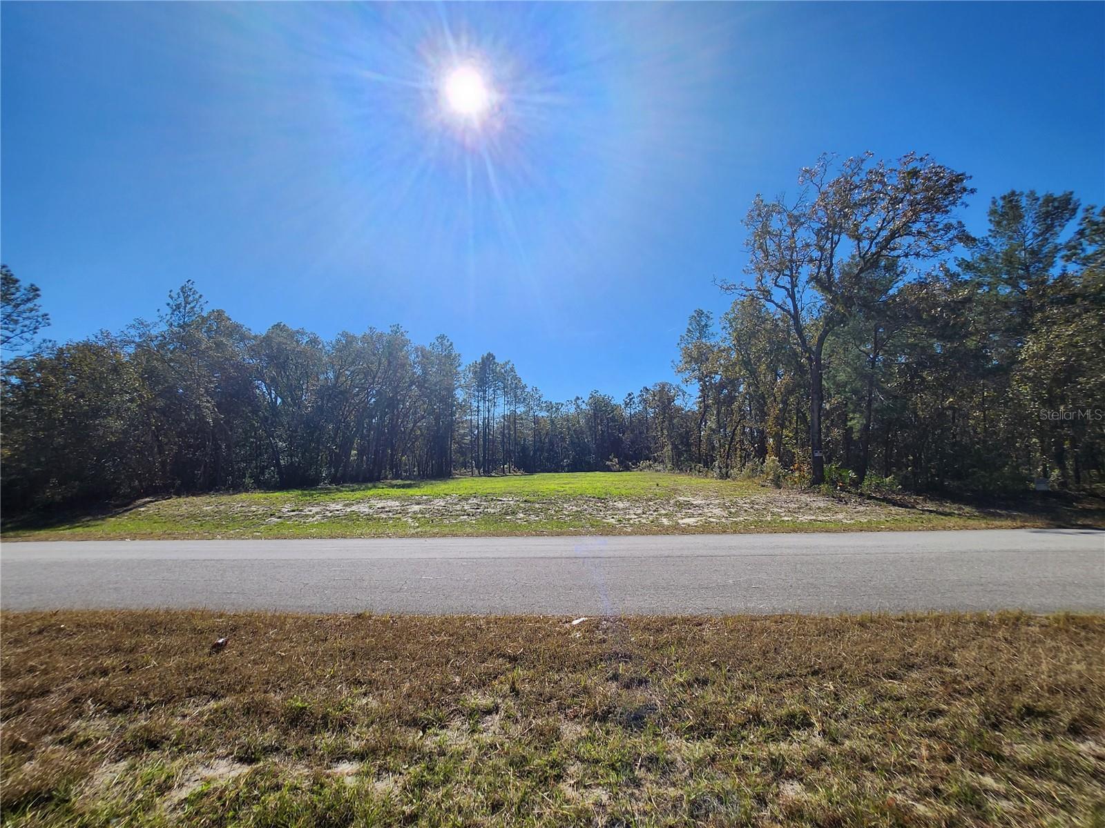 TBD SW 137 ST, OCALA, FL, 34473
