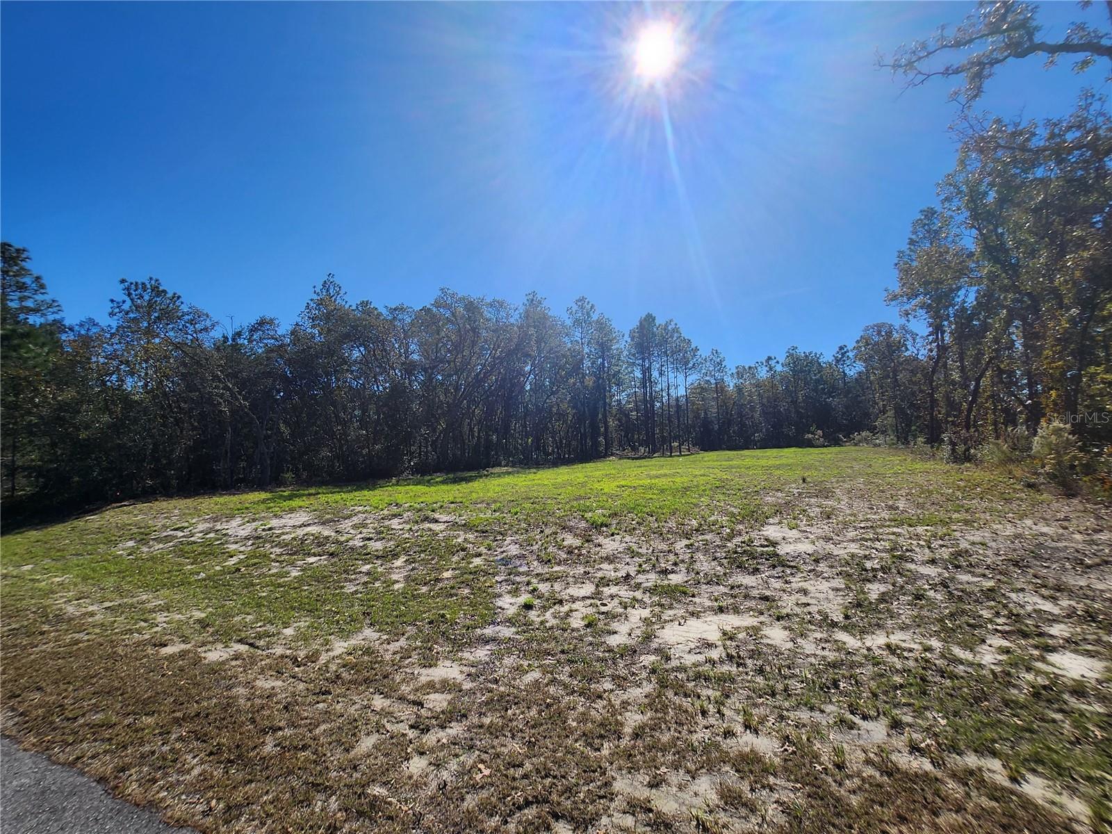 TBD SW 137 ST, OCALA, FL, 34473