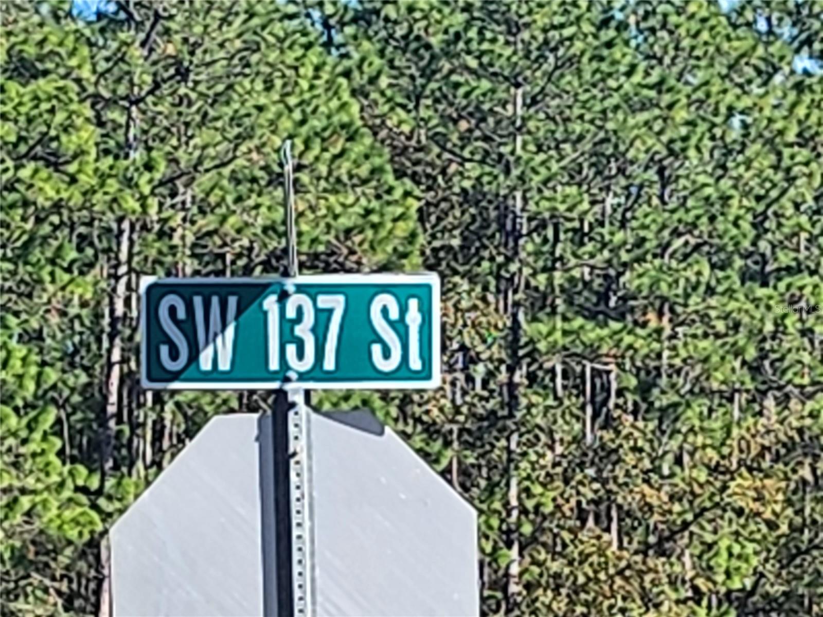 TBD SW 137 ST, OCALA, FL, 34473