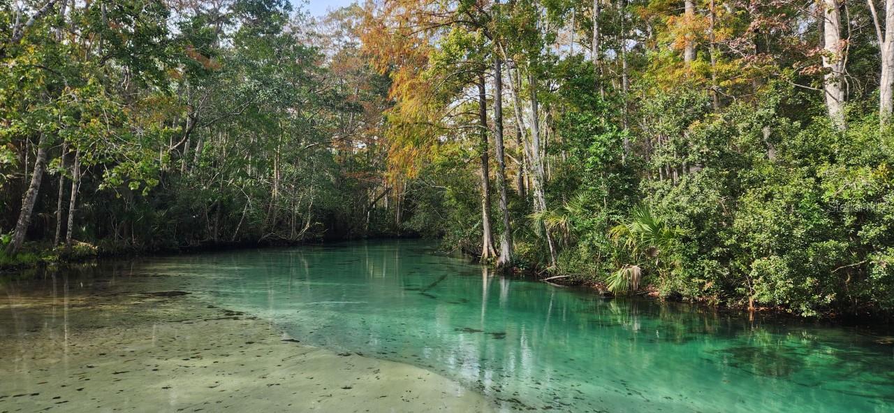 6300 THEODAN ST, WEEKI WACHEE, FL, 34607