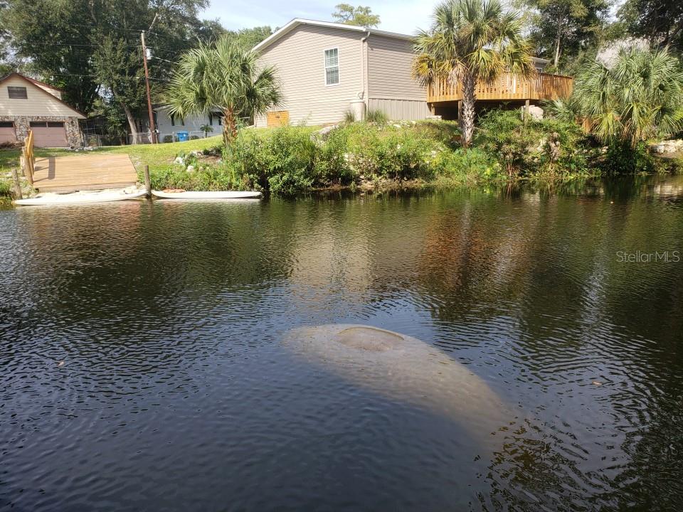 6300 THEODAN ST, WEEKI WACHEE, FL, 34607