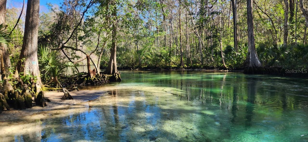 6300 THEODAN ST, WEEKI WACHEE, FL, 34607