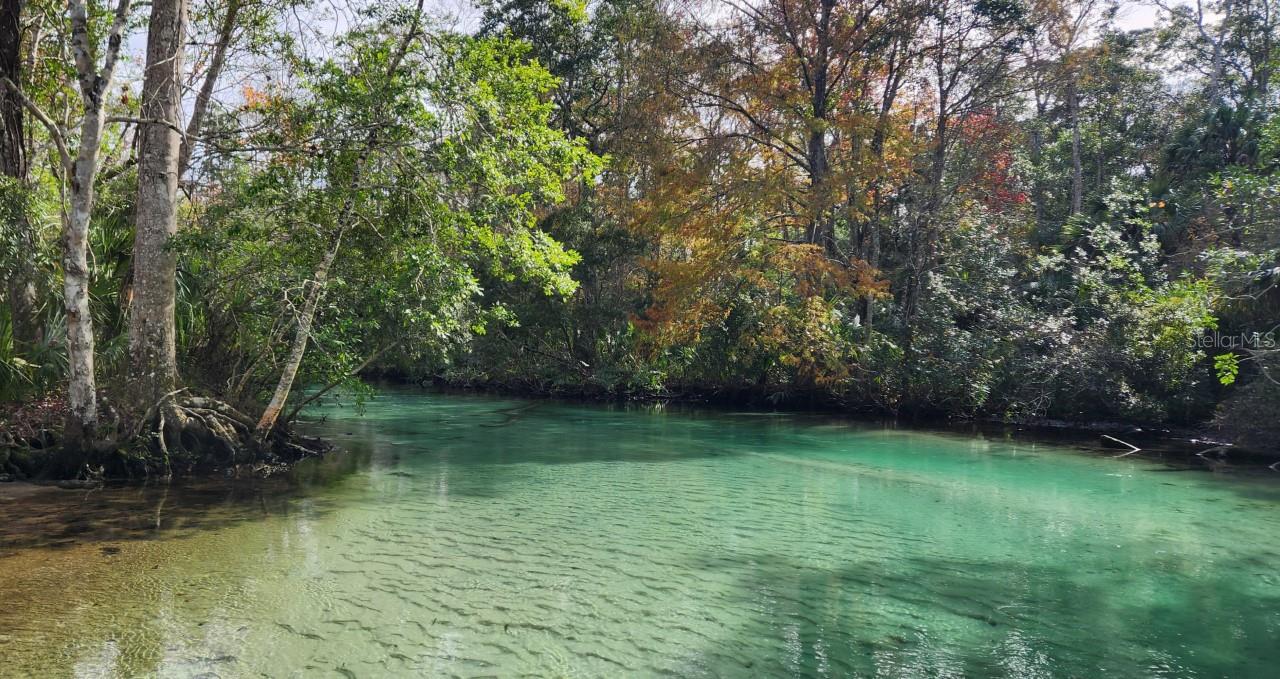 6300 THEODAN ST, WEEKI WACHEE, FL, 34607