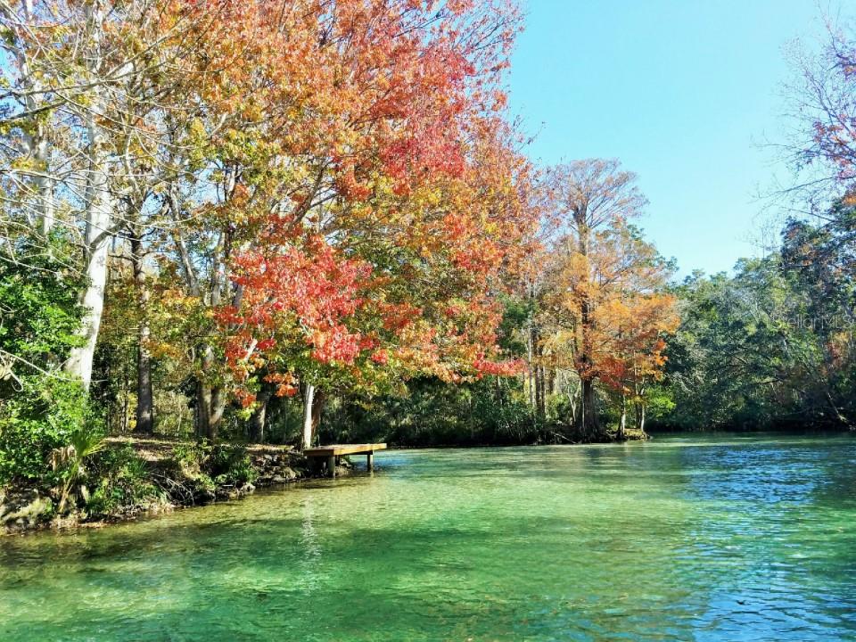 6300 THEODAN ST, WEEKI WACHEE, FL, 34607