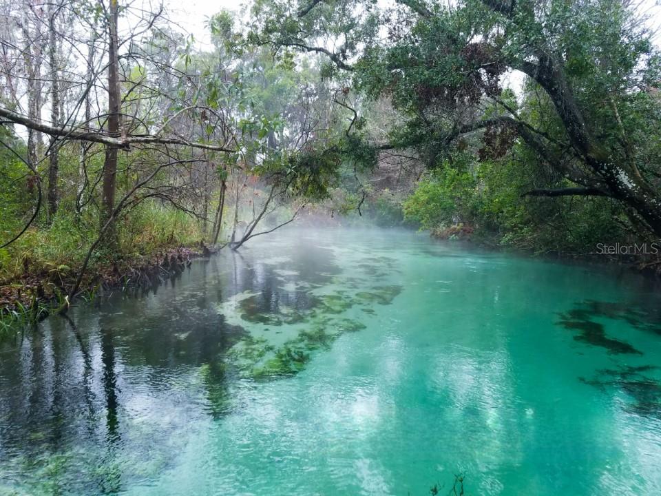 6300 THEODAN ST, WEEKI WACHEE, FL, 34607