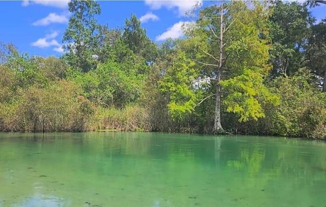 6300 THEODAN ST, WEEKI WACHEE, FL, 34607