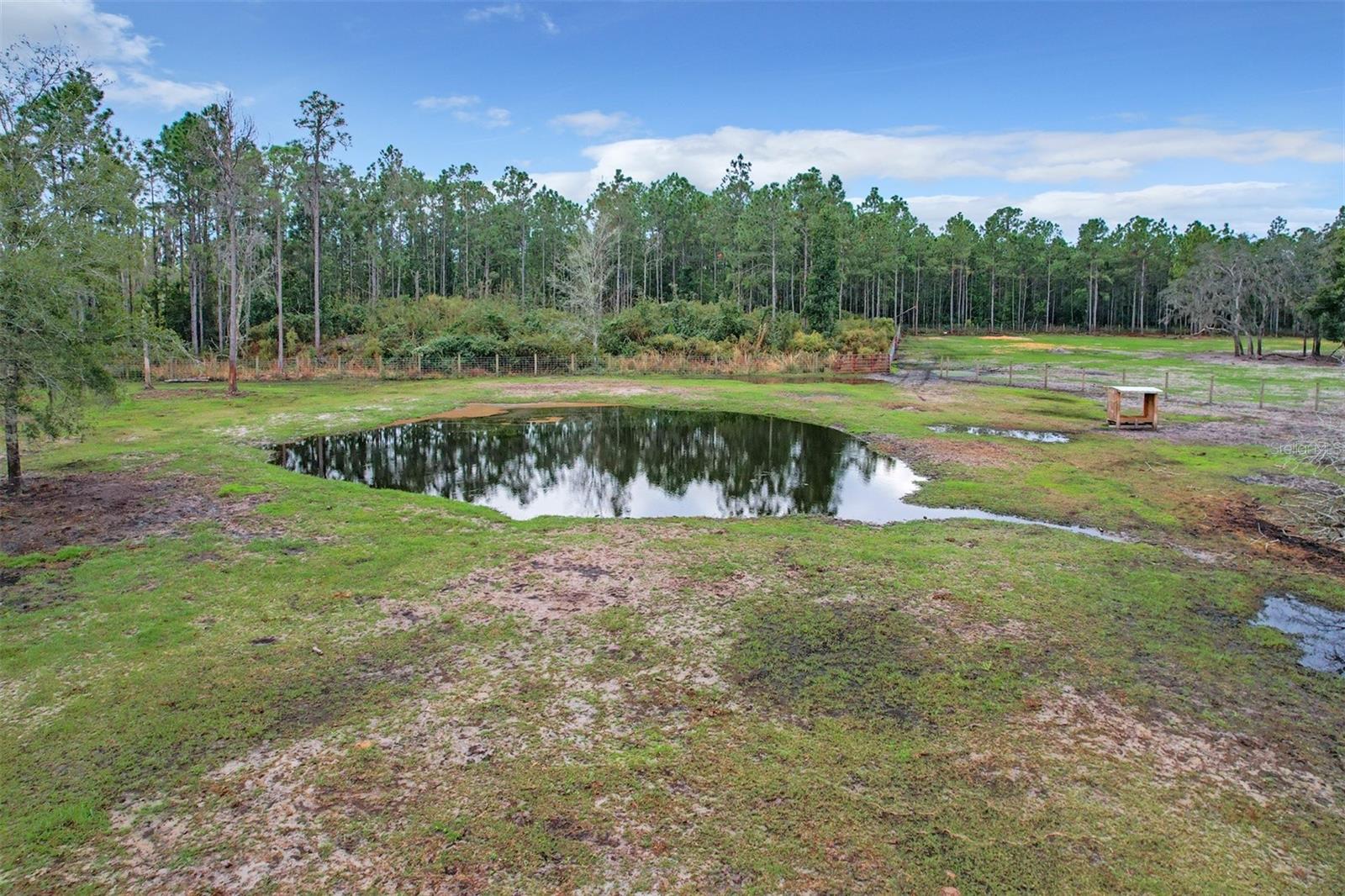 11350 OLD GRADE RD, POLK CITY, FL, 33868