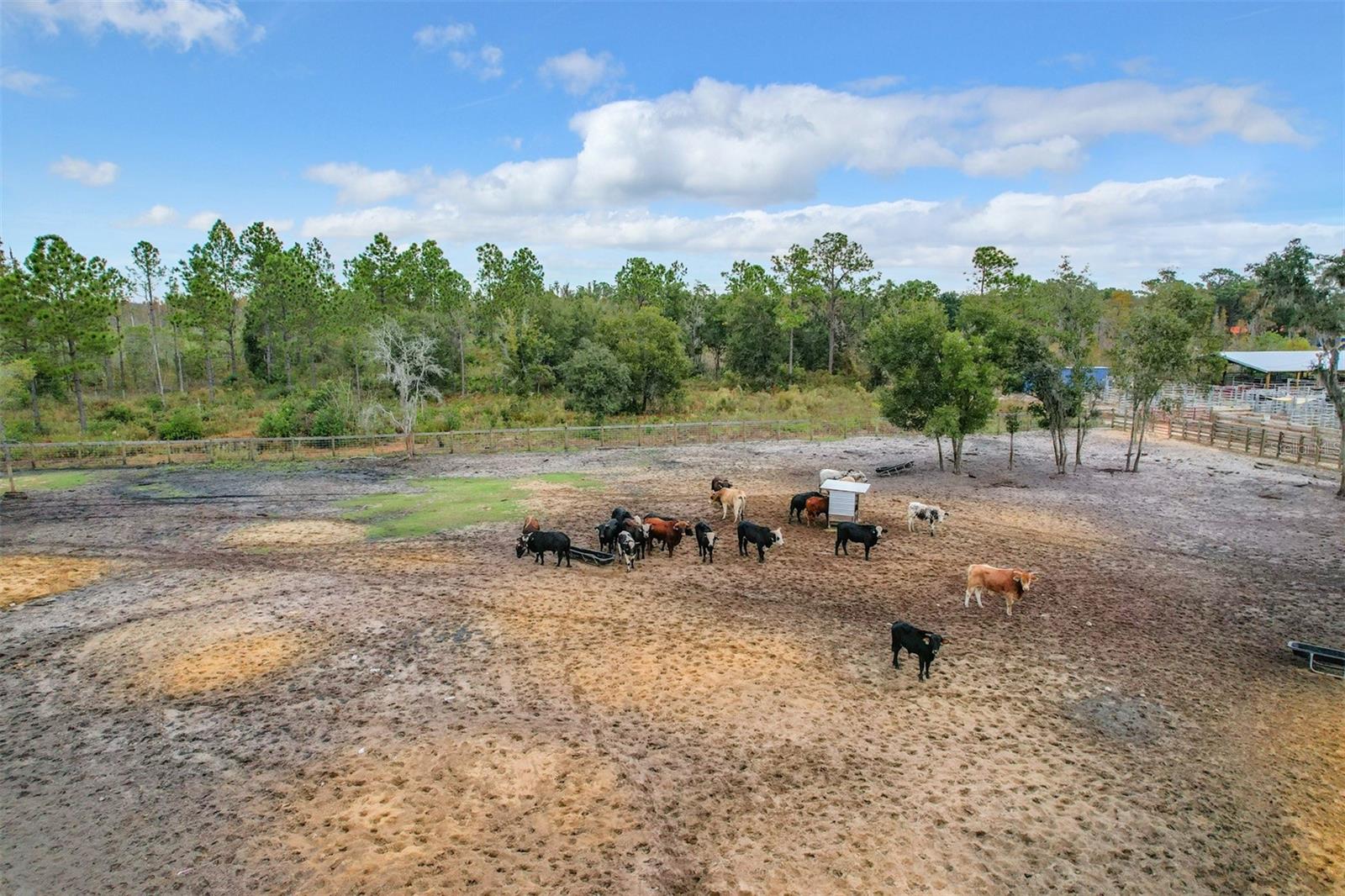 11350 OLD GRADE RD, POLK CITY, FL, 33868
