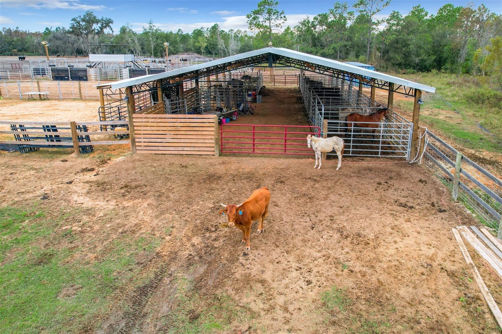 11350 OLD GRADE RD, POLK CITY, FL, 33868