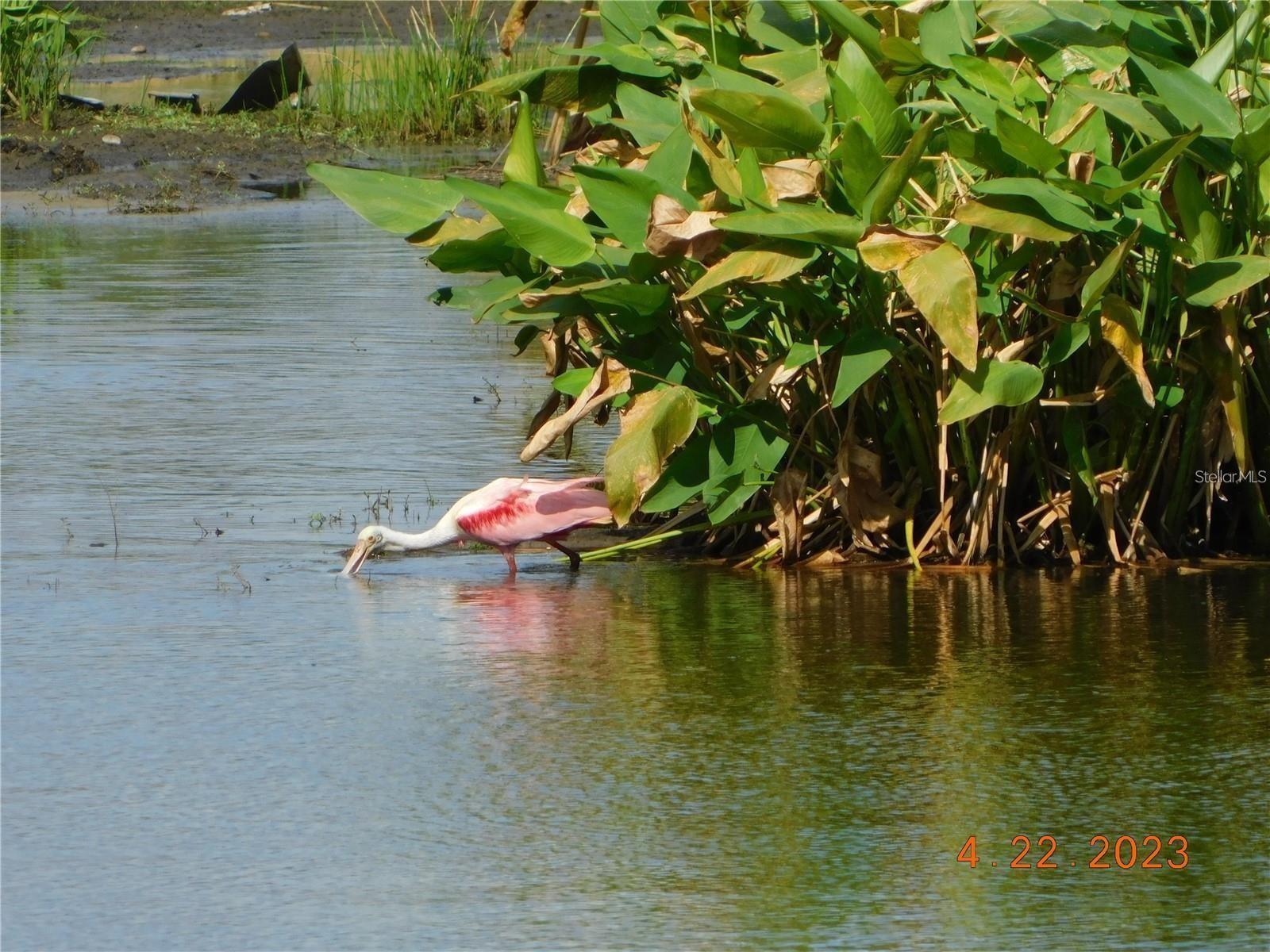 25601 HERITAGE LAKE BLVD #46, PUNTA GORDA, FL, 33983