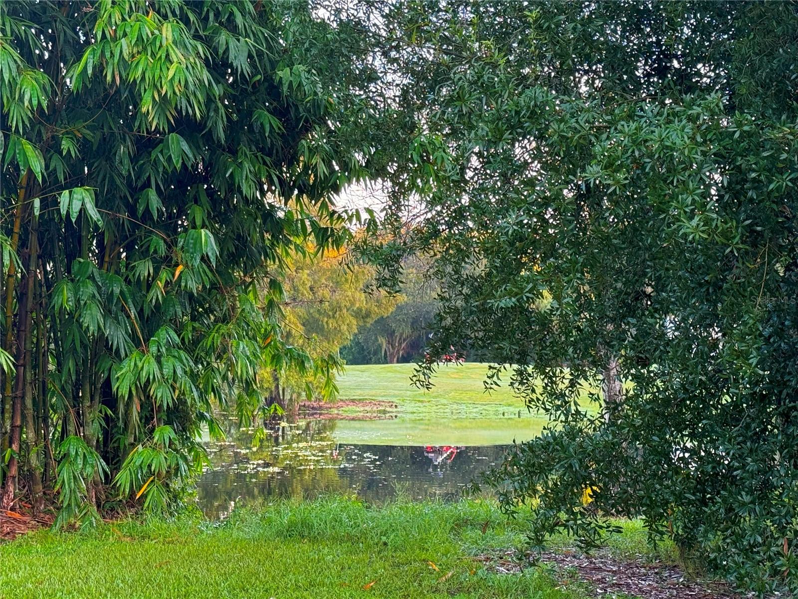 10139 WOODBORNE PL, BRADENTON, FL, 34202