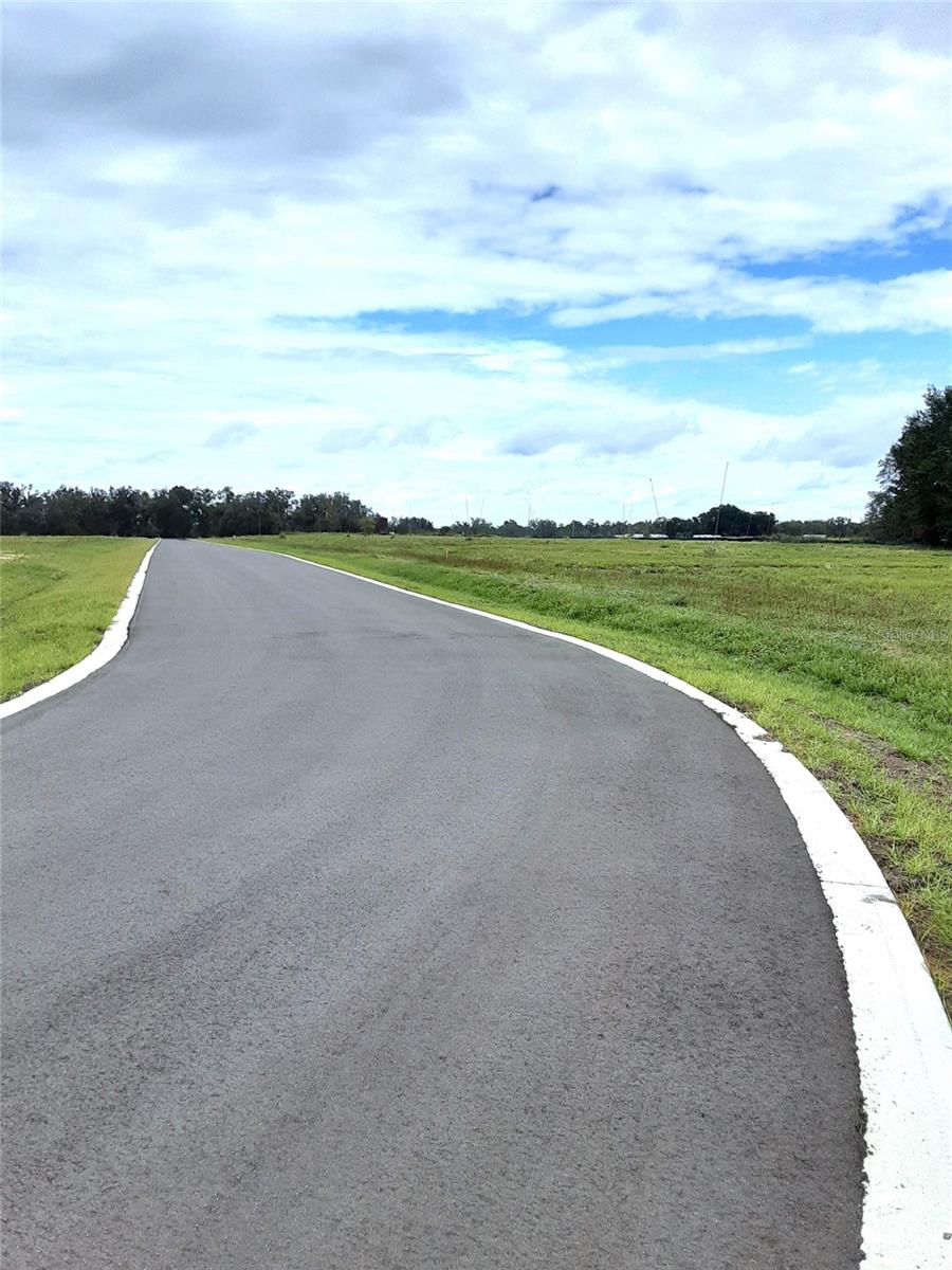 5561 PANORAMIC VIEW DR, APOPKA, FL, 32712