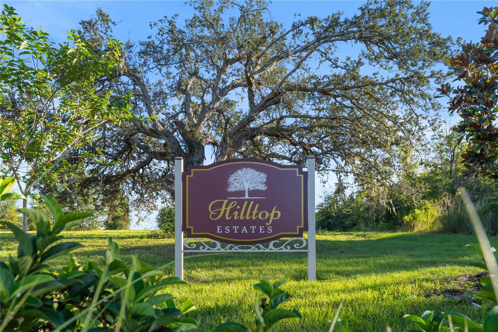 5549 PANORAMIC VIEW DR, APOPKA, FL, 32712