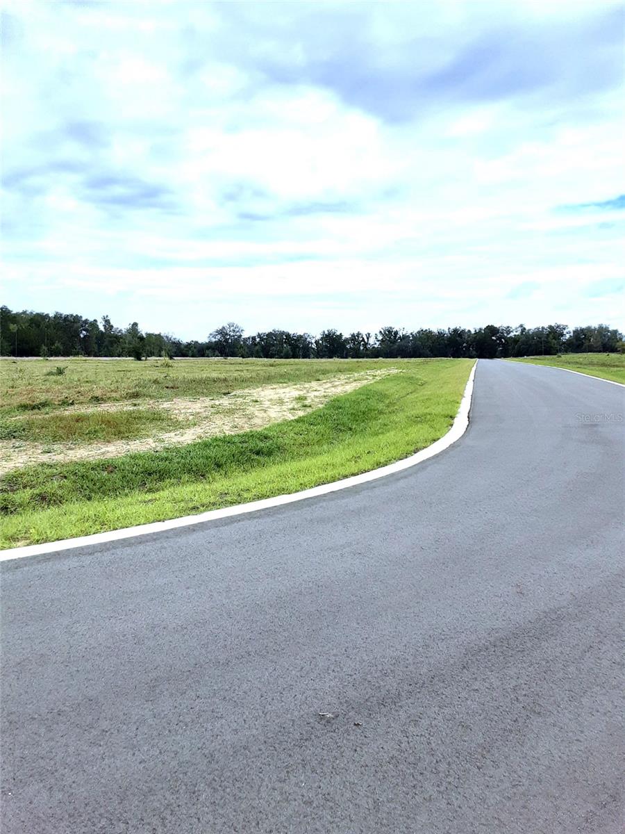 5549 PANORAMIC VIEW DR, APOPKA, FL, 32712