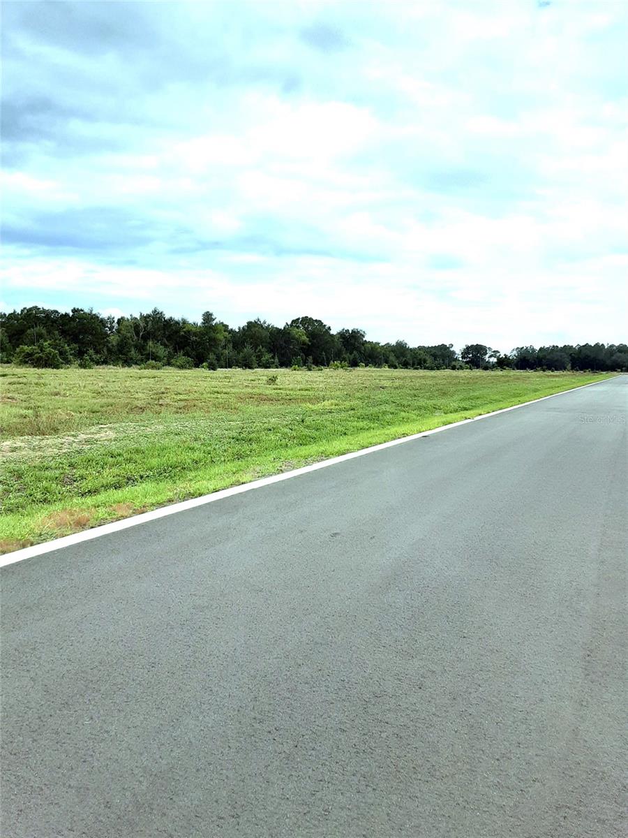 5549 PANORAMIC VIEW DR, APOPKA, FL, 32712