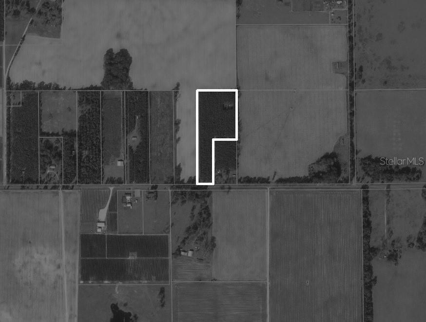 2988 SW CR 534, MAYO, FL, 32066