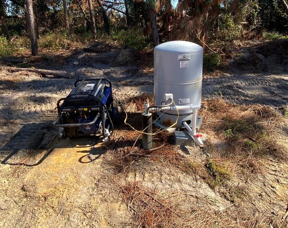 2988 SW CR 534, MAYO, FL, 32066