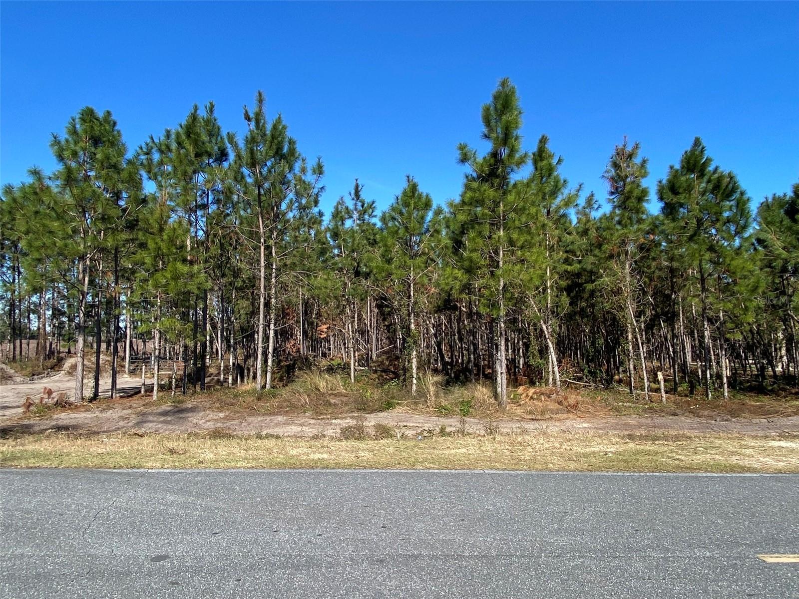 2988 SW CR 534, MAYO, FL, 32066