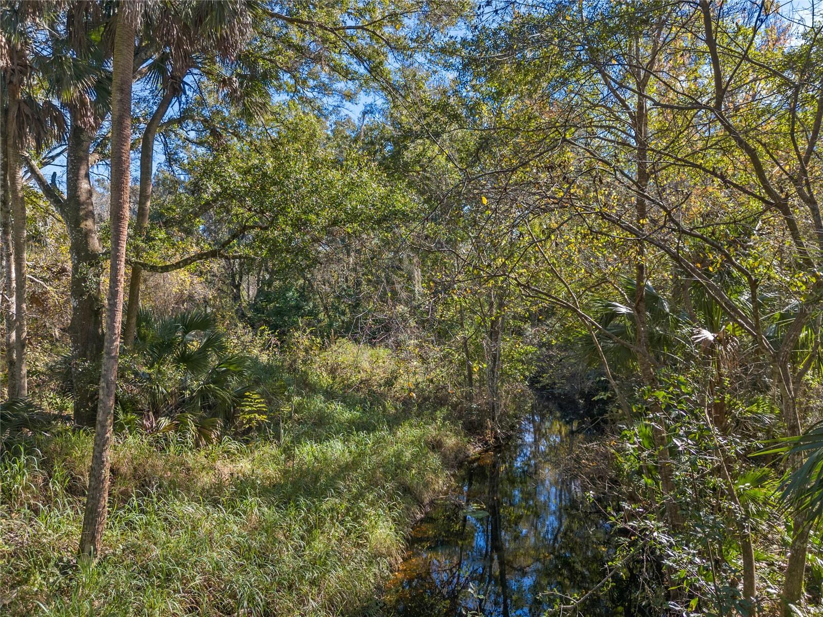 13524 CORKWOOD LN, ASTATULA, FL, 34705