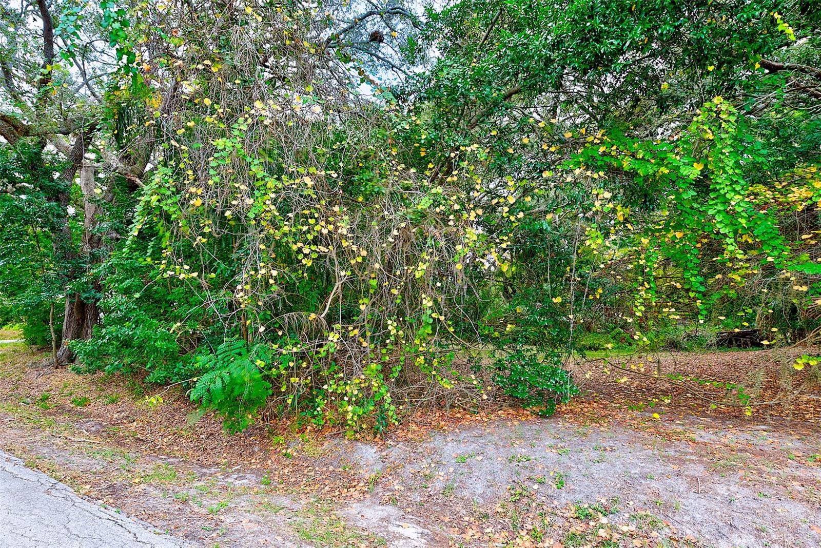 1838 SYLVAN DR, CLEARWATER, FL, 33755