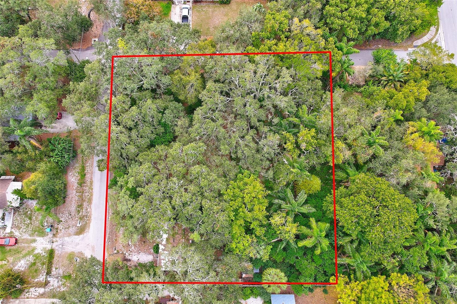 1838 SYLVAN DR, CLEARWATER, FL, 33755